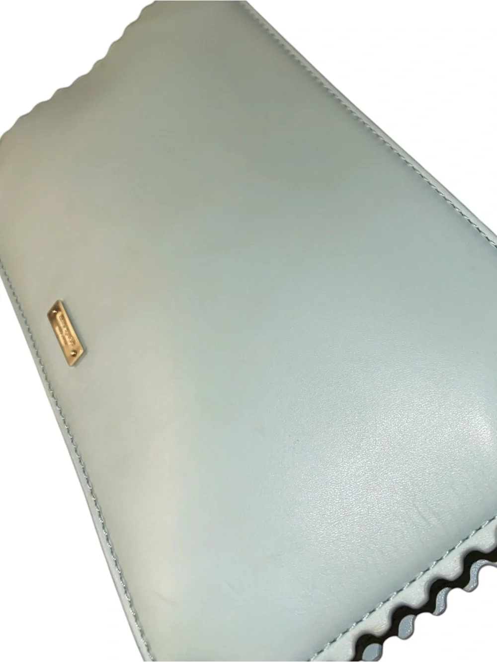 KATE SPADE “FLAVOR OF THE MONTH” ADMIT ONE TICKET CLUTCH